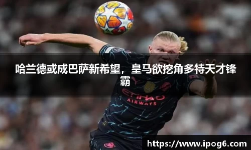 优游